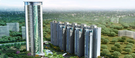 Pavo Real, Indirapuram